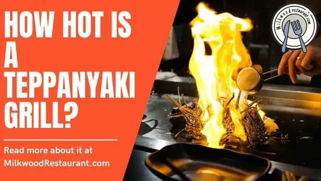 Video thumbnail for How Hot Is A Teppanyaki Grill? 3 Superb Facts That You Must Know From This Kitchen Appliance