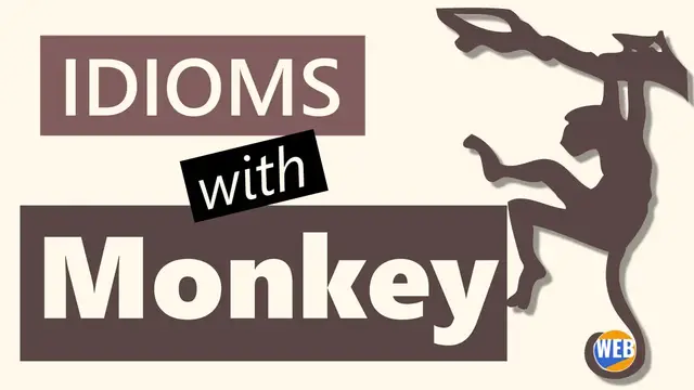 Video thumbnail for Common Monkey Idioms
