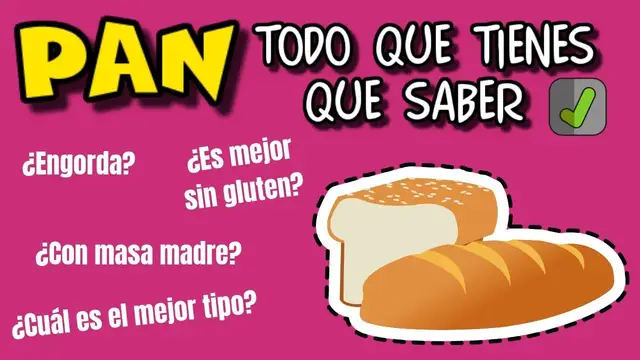 Video thumbnail for PAN todo lo que tienes que saber 👌 ¿Engorda? ¿Cuál es el mejor? ¿Cómo elegirlo?