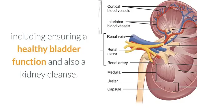 'Video thumbnail for 6 Best Super Foods for Kidney Cleansing Naturally'