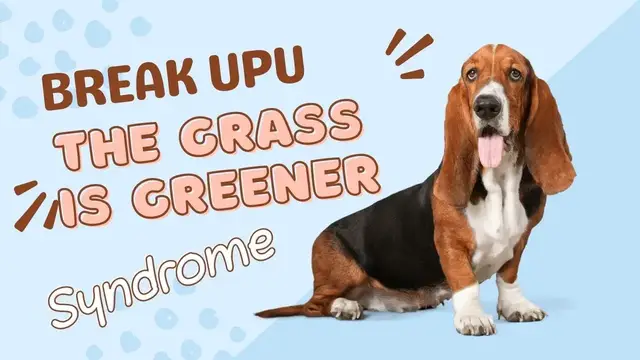 Video thumbnail for Break up The Grass Is Greener Syndrome