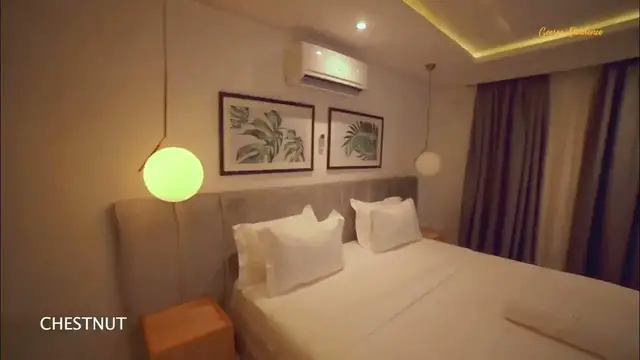 Video thumbnail for CHESTNUT - Elegant Studio Apartment