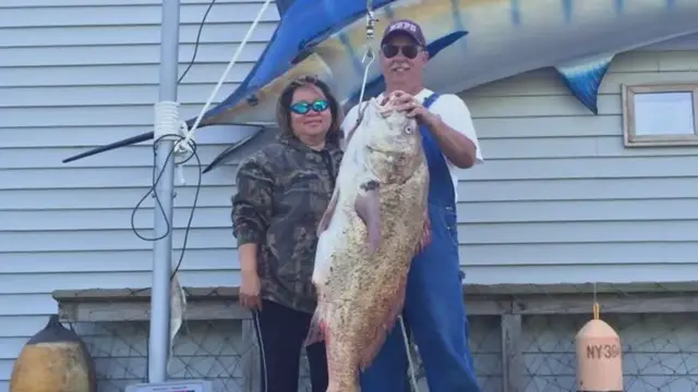 Video thumbnail for How to Plant Fall Vegetable Garden & Our Favorite Vegetables