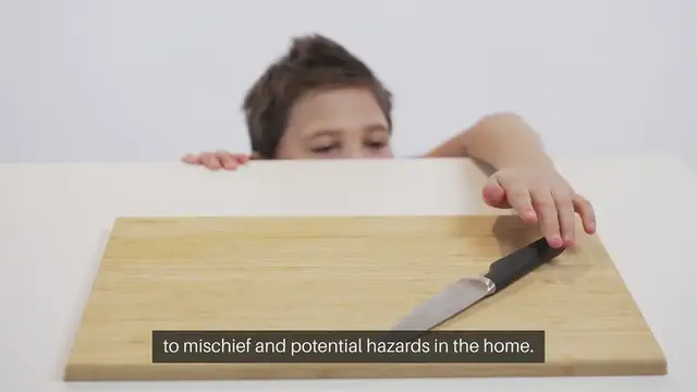 Video thumbnail for Rabbit Proofing Your Home