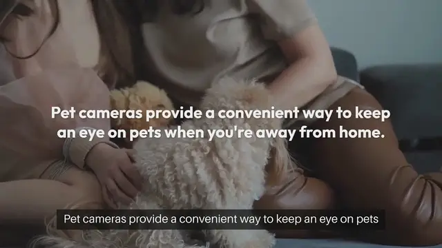 'Video thumbnail for Monitoring Pets with Cameras'