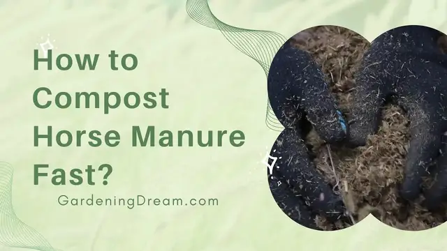 Video thumbnail for How to Compost Horse Manure Fast?