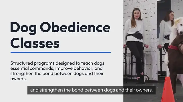 Video thumbnail for Dog Obedience Classes