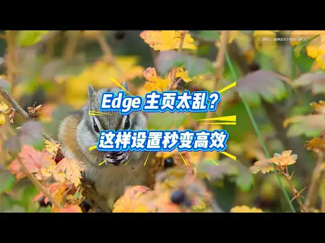 'Video thumbnail for 告别分心！这样设置Edge主页专注力爆棚'
