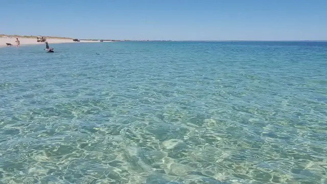 'Video thumbnail for Dolphins swimming along Busselton Beach, Western Australia'
