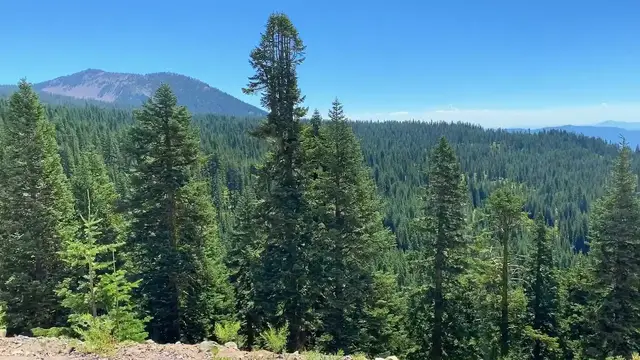 Video thumbnail for Guided Meditation | 10 Minute Build Confidence. Quit Comparing Yourself To Others