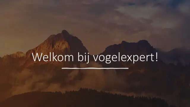 'Video thumbnail for Kromsnavel speelgoed maken'