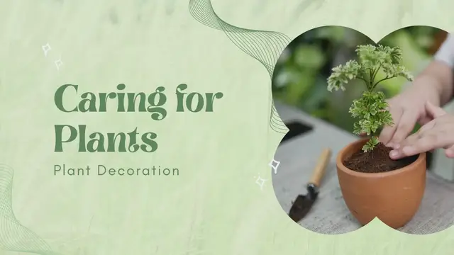 Video thumbnail for Green Creative Caring for Plant