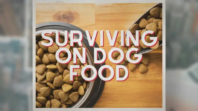 'Video thumbnail for Could You Survive by Only Eating Dog Food?'