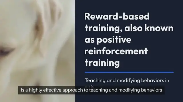 Video thumbnail for Reward Based Training
