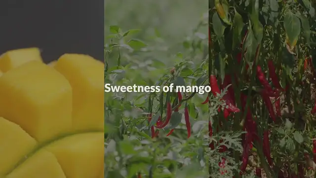 Video thumbnail for Mango and Chili Beef Lettuce Wraps