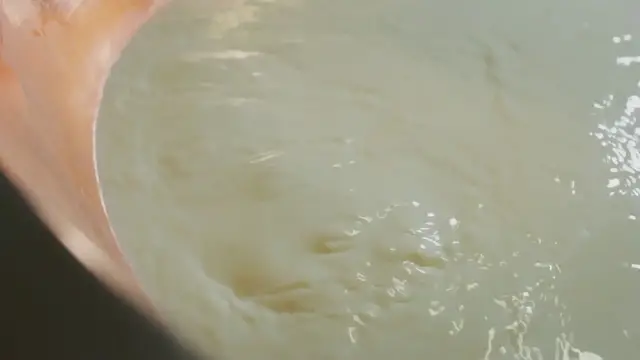 Video thumbnail for Artisan Cheese Makers: A Growing Trend in the US