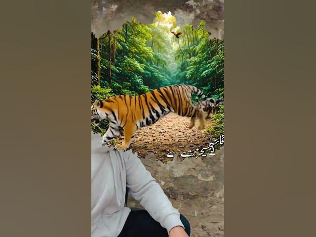 Video thumbnail for #ai,#aivideo,#aishorts,#aianimation,#aigenerated, #newsong #c #funny@Ronaldvallez @MrBeast