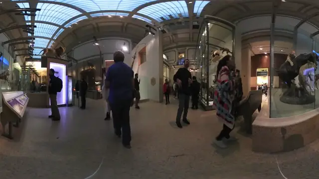 Video thumbnail for The Colosseum – A Timeless Monument of Ancient Rome