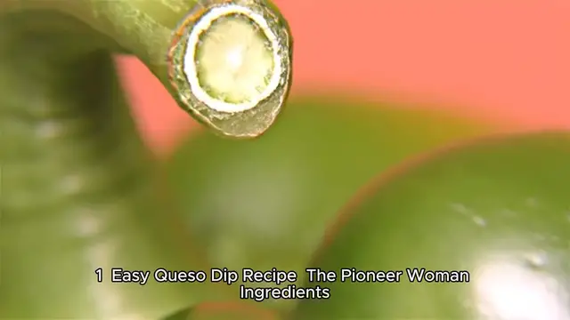 Video thumbnail for easy queso recipe