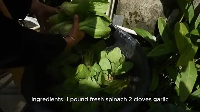 Video thumbnail for sauteed spinach recipe