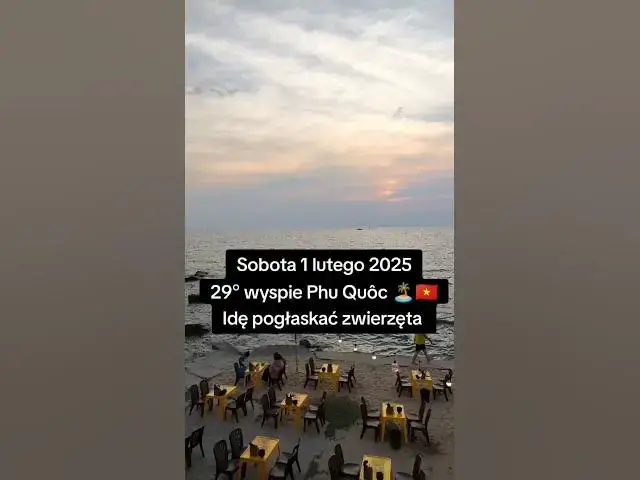 Video thumbnail for ?️ Dzień na Phu Quoc: Basen, Zachód Słońca i Głaskanie Zwierząt! ???
