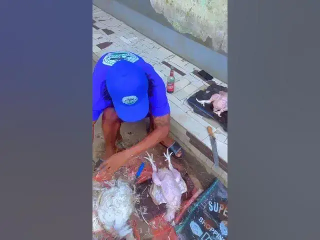 Video thumbnail for 🚶‍♂️🐔 Out Selling Already!