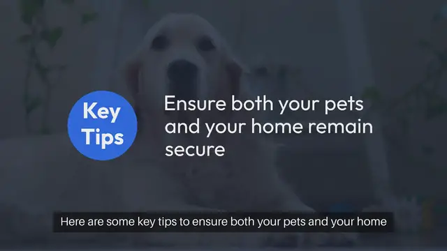'Video thumbnail for Pet Friendly Home Security Tips'