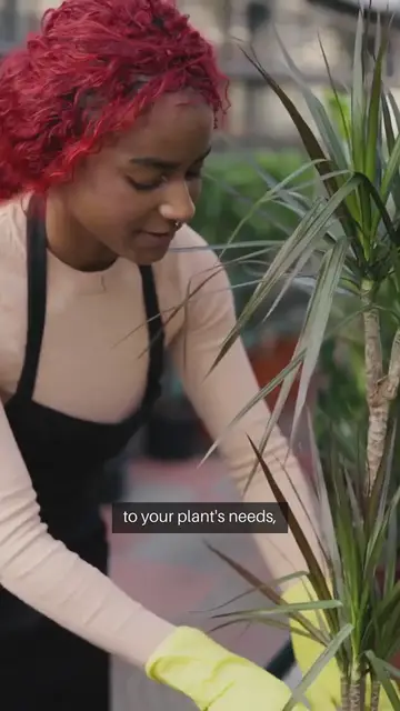 Video thumbnail for Indoor Gardening Supplies