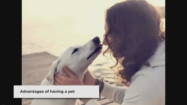 Video thumbnail for Top 15 Amazing Pet Animals To Love