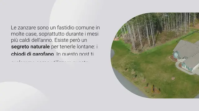 Video thumbnail for Scopri il segreto naturale: i chiodi di garofano in un sacchetto vuoto per una casa senza zanzare