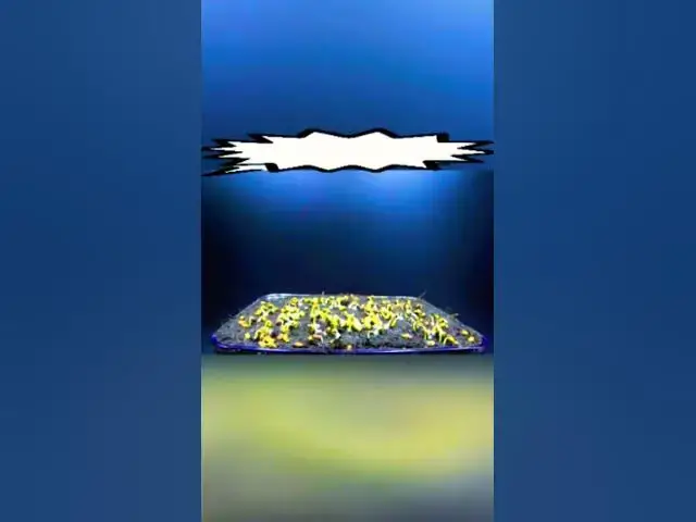 Video thumbnail for Plants time lapse. #plants #timelapse