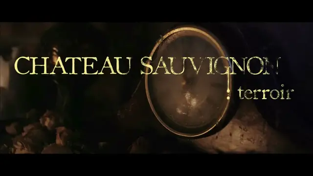 Video thumbnail for CHATEAU SAUVIGNON_ TERROIR - SHORT FILM - OFFICIAL SCREENER.mp4