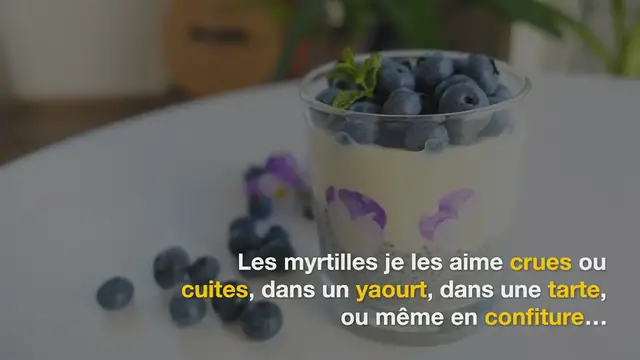 Video thumbnail for Douceur à la vanille et aux myrtilles