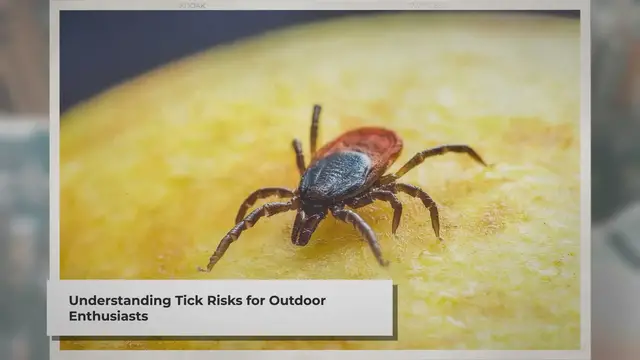 Video thumbnail for Tick Safety: Prevention, Detection, and Removal Tips