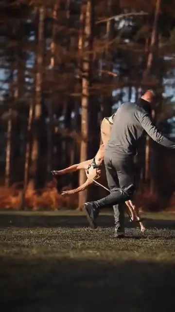 Video thumbnail for Animal info