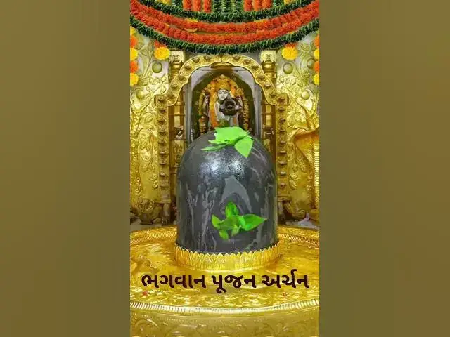 Video thumbnail for शिव पूजा कैसे करें  आज दिव्य भास्कर के माध्यम से जानते हैं @ashvinjoshi1393 #sivpujan