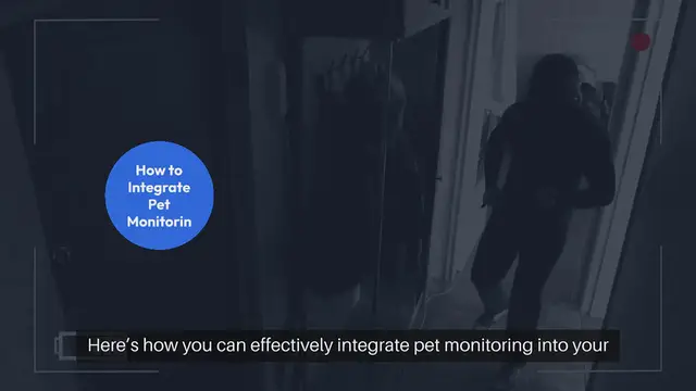 'Video thumbnail for Pet Monitoring with Home Security System'