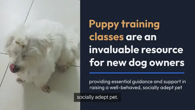 Video thumbnail for Puppy Training Classes