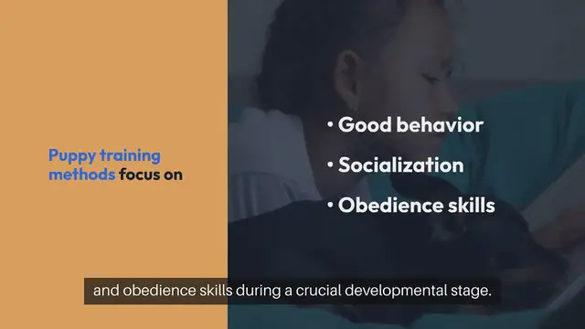 Video thumbnail for Puppy Training Methods