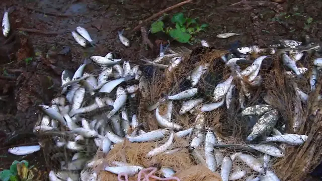 'Video thumbnail for Unbilive man catch fish a lot'
