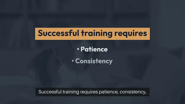 Video thumbnail for Training Multiple Pets