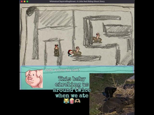 Video thumbnail for Dumby inspired Sponsored-Hippo enemy class is ready! Also, future Cat NPC… #indiedev
