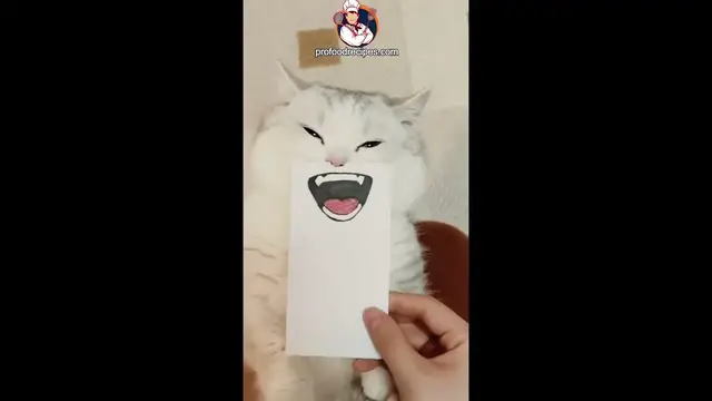 Video thumbnail for funny Emoji with cat