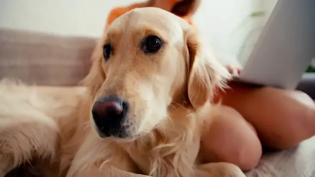 Video thumbnail for Fujinon XF 23mm F1.4 R LM WR: A Lens That Packs a Punch (and Maybe a Few Jokes)