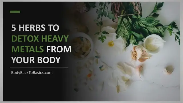 Video thumbnail for Heavy Metal Detox: Harnessing the Power of Herbs for Optimal Cleansing