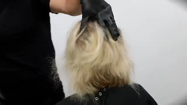 Video thumbnail for Silver Blonde Hair Color with Shadow Root Tutorial