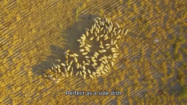 Video thumbnail for baked brussel sprouts recipe