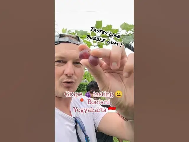 Video thumbnail for French Guy's Mind is BLOWN by Grapes That Taste Like BUBBLE GUM! 🍇🤯 | Yogyakarta, Indonesia