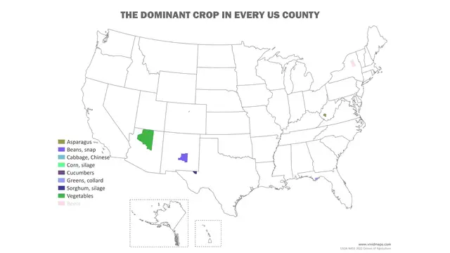 Video thumbnail for The Dominant Crop in Every US County