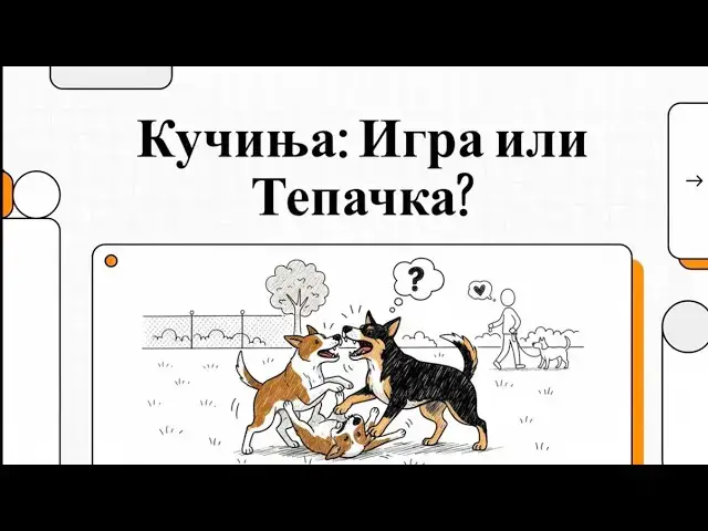 Video thumbnail for Како да знаете дали кучињата си играат или се (дават) тепаат?